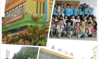 幼儿园大班班务计划