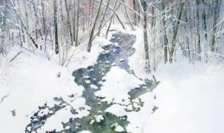 漫天飘雪的唯美诗句
