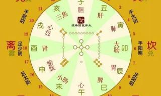 十二时辰对照表查询
