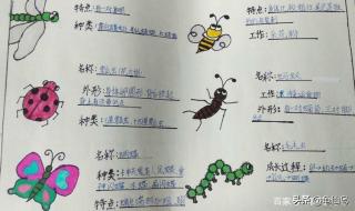 昆虫备忘录三年级下册