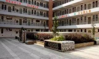 国际学校的学费很贵吗