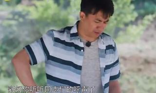 向往的生活彩灯怎么了