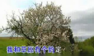 我和草原有个约定舞蹈