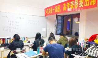 高三艺考生文化课集训