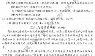 2024高考英语试卷全国一卷