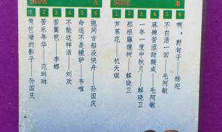 不白活一回毛阿敏